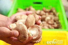 澳门金沙网站 _澳门金沙网址_澳门金沙网投_让耖家庄村民更为欣慰的是