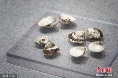 澳门金沙网站 _澳门金沙网址_澳门金沙网投_考古学家谈“良渚入遗”：让世界