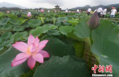 澳门金沙网站 _澳门金沙网址_澳门金沙网投_福建省建宁县“为荷而来”第四届