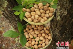 澳门金沙网站 _澳门金沙网址_澳门金沙网投_本次活动将持续到7月22日