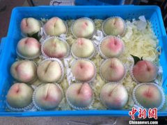 澳门金沙网站 _澳门金沙网址_澳门金沙网投_醒目外观让人一目了然