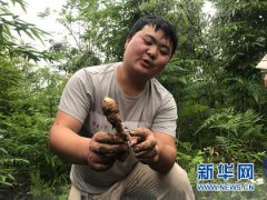澳门金沙网站 _澳门金沙网址_澳门金沙网投_云南昭通脱贫攻坚的“金钥匙”