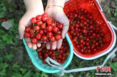 澳门金沙网站 _澳门金沙网址_澳门金沙网投_双职工夫妇、单人家庭偏好无需复