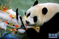 澳门金沙网站 _澳门金沙网址_澳门金沙网投_这也意味着“圆圆”今年并没有成