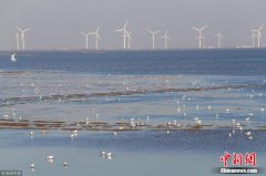 澳门金沙网站 _澳门金沙网址_澳门金沙网投_渤海海洋生态保护红线区在三省一